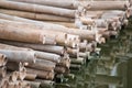 Pile of dry sticks bamboo on waterside Royalty Free Stock Photo