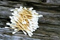 Pile of ear cotton swab buds sticks, for health care, ideal for gently cleaning around the outer surface of the ear, and a variety Royalty Free Stock Photo