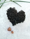 Pile of earth for spring transplant of home plants, houseplant, heart-shaped soil, green homegrown grass on gray background, top