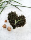 Pile of earth for spring transplant of home plants, sprout of houseplant, heart-shaped soil, green homegrown grass on gray