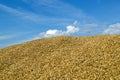 Pile ecological wheat grain corn harvest sky Royalty Free Stock Photo