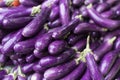 Pile of eggplant for sale at local fresh market