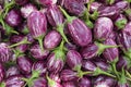 Pile of eggplants on a food market India