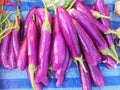 Pile of eggplants purple for sale in the market