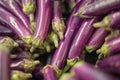 Pile of eggplants at rural market in Mahebourg,