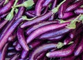 Pile of eggplants at rural market