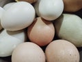 pile of eggs from free-range chicken eggs, farmed chicken eggs, boiled duck eggs