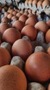 pile of eggs ready to be marketed