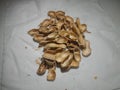 pile of empty peanut shells placed on paper towels Royalty Free Stock Photo