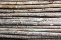 Pile eucalyptus background Royalty Free Stock Photo