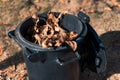 Pile of fallen autumn leaves in the bucket Royalty Free Stock Photo