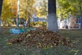 A pile of fallen autumn leaves in the yard Royalty Free Stock Photo