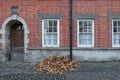Pile of fallen leafs