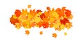 Pile of fallen leaves. Decorative line of orange, yellow and red autumn leaves