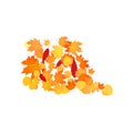 Pile of fallen leaves. Heap of orange, yellow and red autumn leaves