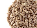 Pile of farro on white background Royalty Free Stock Photo