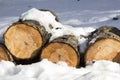 Pile of felled wood logs in the snow in winter park