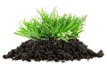 Pile of fertile soil and green grass isolated on white background