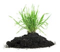 Pile of fertile soil and green grass isolated on white background Royalty Free Stock Photo