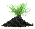 Pile of fertile soil and green grass isolated on white background
