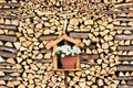 Pile of fiire wood, rural vintage background