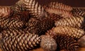 Pile of fir tree strobiles on the table Royalty Free Stock Photo