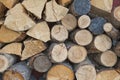 Pile of firewood Royalty Free Stock Photo