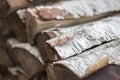 Pile of firewood. Birch bark and wood logs. Stack of birch logs. Chopped tree trunk. Hardwood close up. Ecology energy.