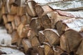 Pile of firewood. Birch bark and wood logs. Stack of birch logs. Chopped tree trunk. Hardwood close up. Ecology energy.