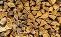 pile of firewood in the garden Royalty Free Stock Photo