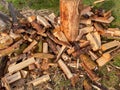 pile of firewood in the garden Royalty Free Stock Photo