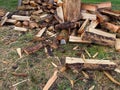 pile of firewood in the garden Royalty Free Stock Photo