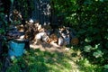 Pile of firewood in the garden in summer Royalty Free Stock Photo