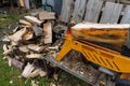 pile of firewood with a log splitter in the garden Royalty Free Stock Photo