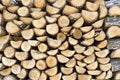 Pile of firewood logs Royalty Free Stock Photo