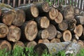 Pile of firewood. Preparation of firewood for the winter and use for cooking, firewood background, Stacks of firewood in the