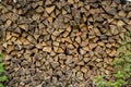 Pile firewood prepared for fireplace. Kiln dried wood for fire. Birch background Royalty Free Stock Photo