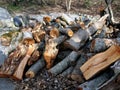Pile of firewood prepared for heating