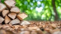 Stacked Firewood in Forest with Leaf Litter Ground Covering Scenery Royalty Free Stock Photo