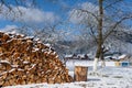 Pile of firewood in the snow on a frosty day, hives in the background