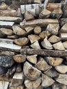 A pile of firewood is stacked. Cut down trees lie in one heap. Material for fire and heating. Birch and oak firewood, lumber Royalty Free Stock Photo