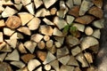 Pile of firewood