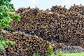 Pile of firewood stacked outside. Big pile of logs on a blue sky background Royalty Free Stock Photo