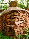 Pile of firewood for stove or fireplace. Traditional material to keep house warm. Alternative heating source. Winter preparation