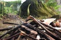 pile of firewood to burn corn