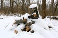 pile of firewood under snow Royalty Free Stock Photo