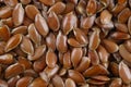 Pile of flax seeds isolated on white background Royalty Free Stock Photo