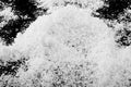 Pile of fluffy white snow isolated on a black background Royalty Free Stock Photo