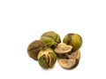 Food of the wild. Shagbark hickory nuts on white Royalty Free Stock Photo