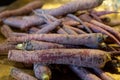 Pile of French purple organic heritage carrots.